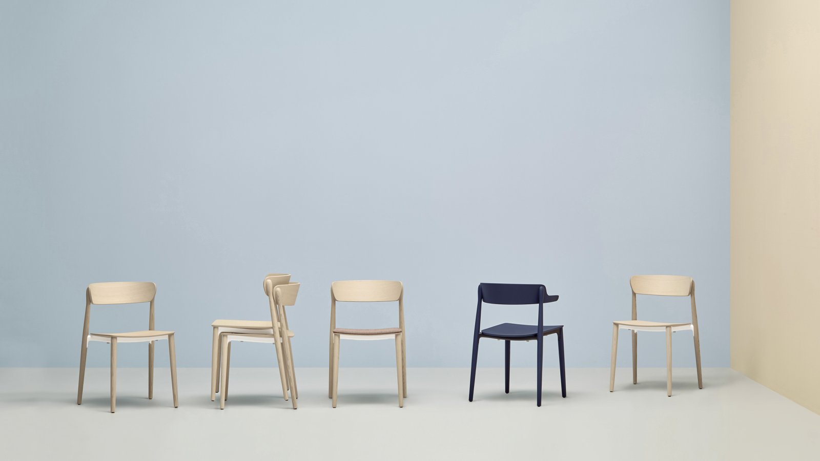 Nemea chair by Pedrali in a hospitality interior