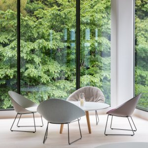 Adell in a residential interior