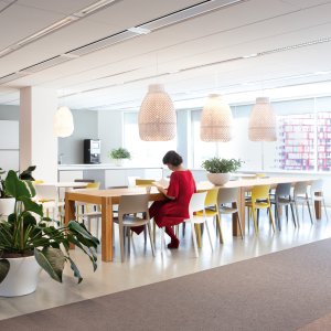 Luxury designer chairs by Arper: the Juno 02 collection