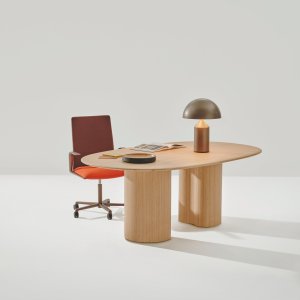 Kinesit in a meeting room