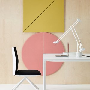 Kinesit in an executive office