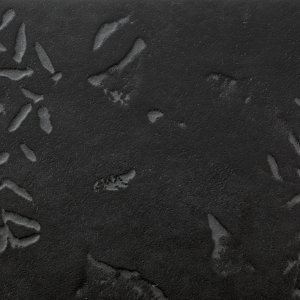 Chymia floor in a heavy traffic office area