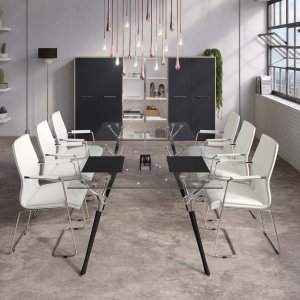 Genesis cabinet with satin glass doors framed in polished aluminium