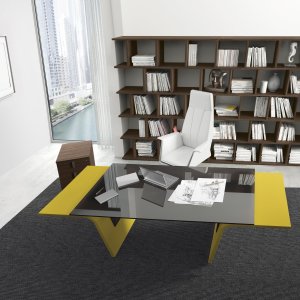Bookcase of the Larus collection