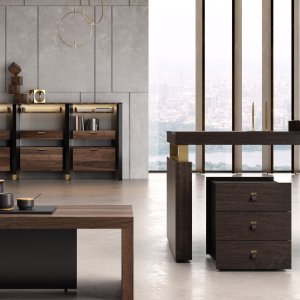 Cadira executive chair and I Rovereschi desk with external return