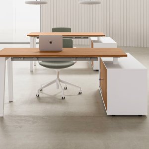 E-Place office workstations in a row, DVO Office