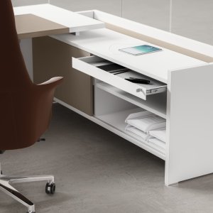 Filing drawer with hanging folders of the Oxford