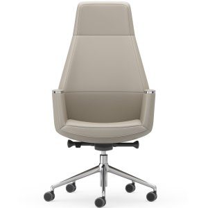 Musa Chair in an executive office