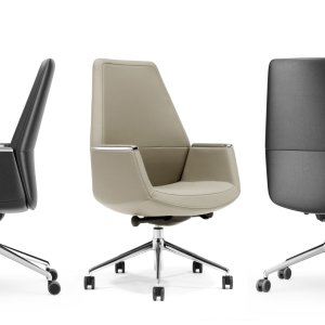 Musa in a meeting room configuration