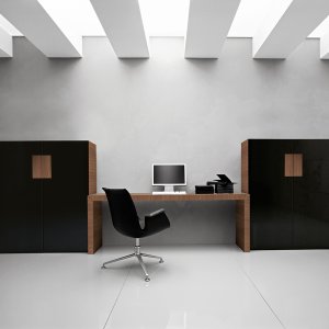 Kyo Sit to Stand desk in the raised position