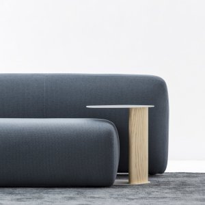 Organic volumes of the Suiseki collection