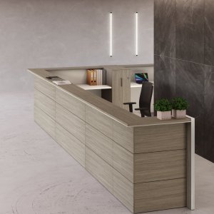 Nice reception counter in a corporate lobby in Mumbai
