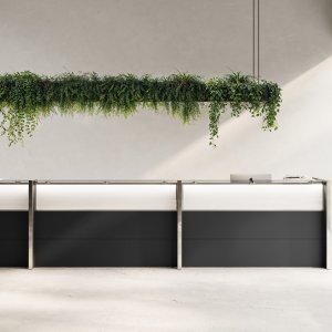 Tempered glass counter shelf of the Nice reception on turned stainless steel supports