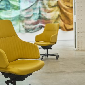 Five-star aluminium base of the Italia chair
