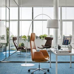 Two-tone Nordic with contrasting shell colour