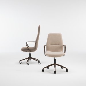 Executive chair Synua by Milani with bronze base and armrests