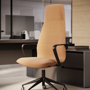 Continuous upholstered shell of the Synua chair