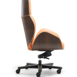 Contrasting edge running along the Suoni shell