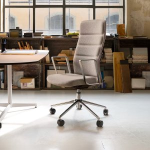 Quinti boss chair That’s it Executive, fixed die-cast arms, at a desk