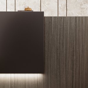 Welcome shelf detail on the Z2 counter with stitched leather facing