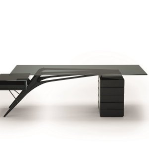 Cavour CM in natural oak in an Indian office